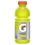 Gatorade - 20 oz Grape Bottle 24pk Case