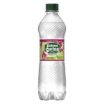 Poland Spring - Sparkling Raspberry/Lime 16.9 oz Bottle 24pk Case