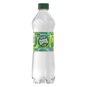 Poland Spring - Sparkling Lime 16.9 oz Bottle 24pk Case