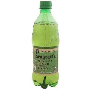 Seagram's - Ginger Ale 20 oz Bottle 24pk Case