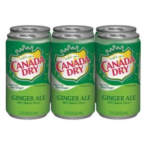 Canada Dry - Ginger Ale 7.5 oz Mini Can 24pk Case