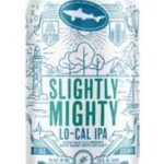 Dogfish - Slightly Mighty Lo-Cal IPA 12 oz Can 24pk Case