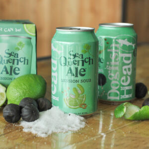 Dogfish - Seaquench Ale 12 oz Can 24pk Case