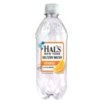 Hal's - New York Seltzer Vanilla Cream 20 oz Bottle 24pk Case