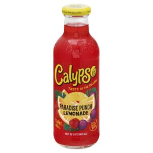 Calypso - Paradise Punch Lemonade 16 oz Bottle 12pk Case